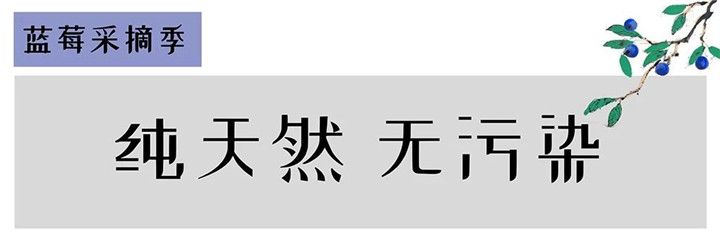 微信图片_20190603152318.jpg