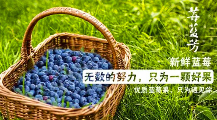 微信图片_20190603152322.jpg