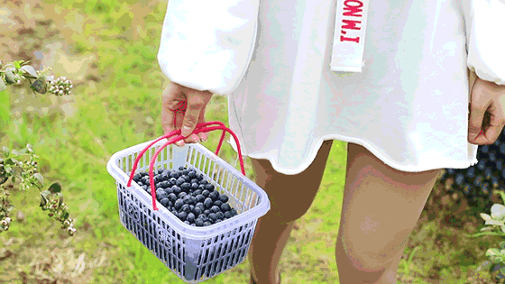 微信图片_20190603152629.gif
