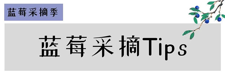 微信图片_20190603152357.jpg