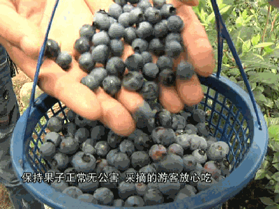 微信图片_20190603152652.gif