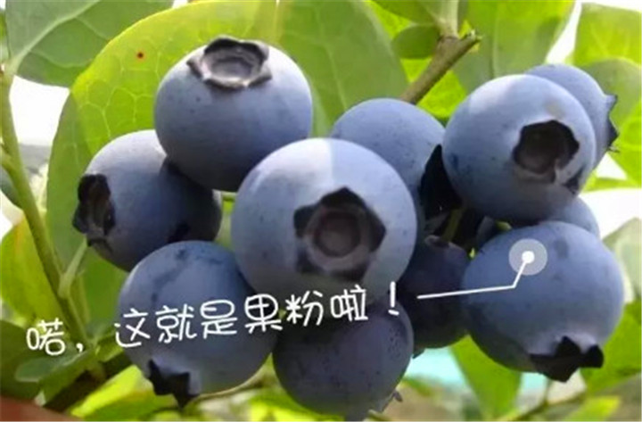 微信图片_20190603152515.jpg