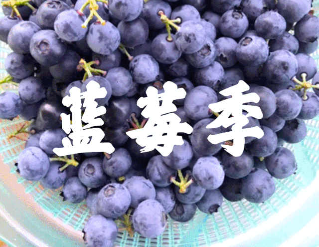 微信图片_20190604095812.gif