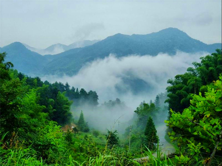 1587448667963228.jpg 主峰12.jpg