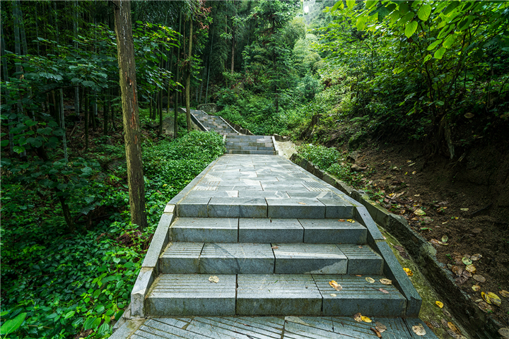 1587449358939689.png 大部分这样的布道.png