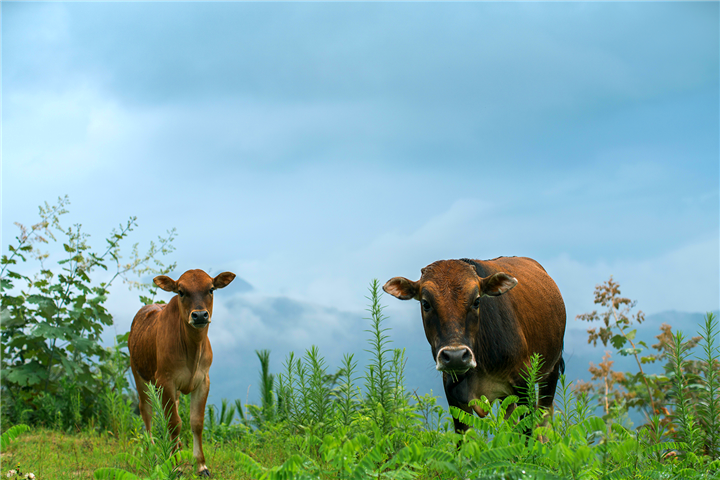 1587449655340072.png DSC07333.png