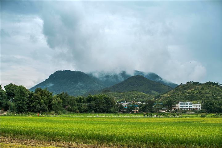 1587449672827458.png DSC07276.png