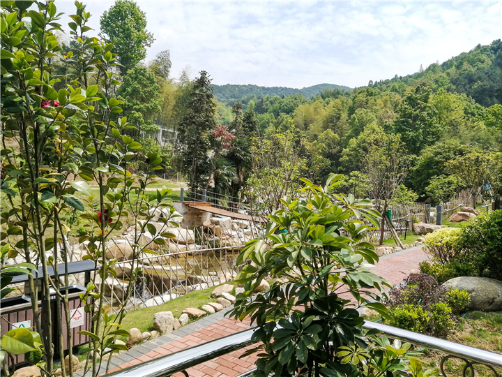 1587689998511209.jpg 422ec27b472dcabb50b935ac248d33c.jpg