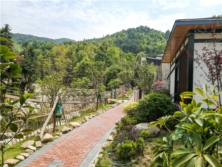 1587690021670866.jpg e4690edd64ed4a1642eb4ca009c1045.jpg