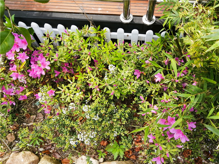 1587690088331261.jpg 1d921690b1deb62aebfe798d3c7b3e0.jpg