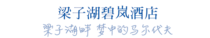 未命名_副本.png