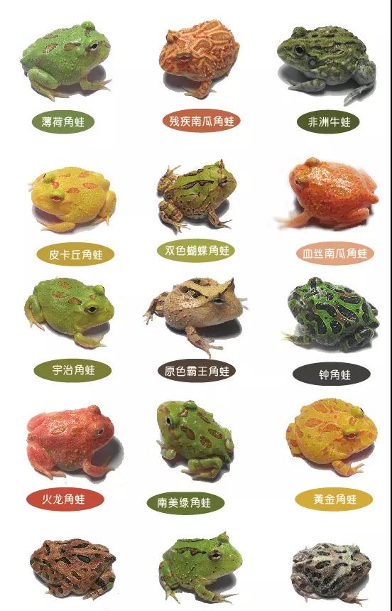 微信图片_20200811102845.jpg