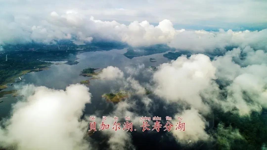 微信图片_20200812142022.jpg