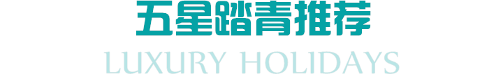 未命名_副本.png