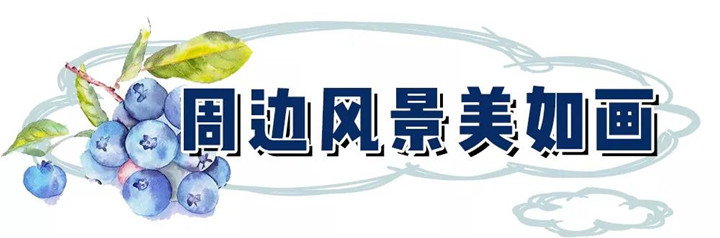 微信图片_20210527161436.jpg