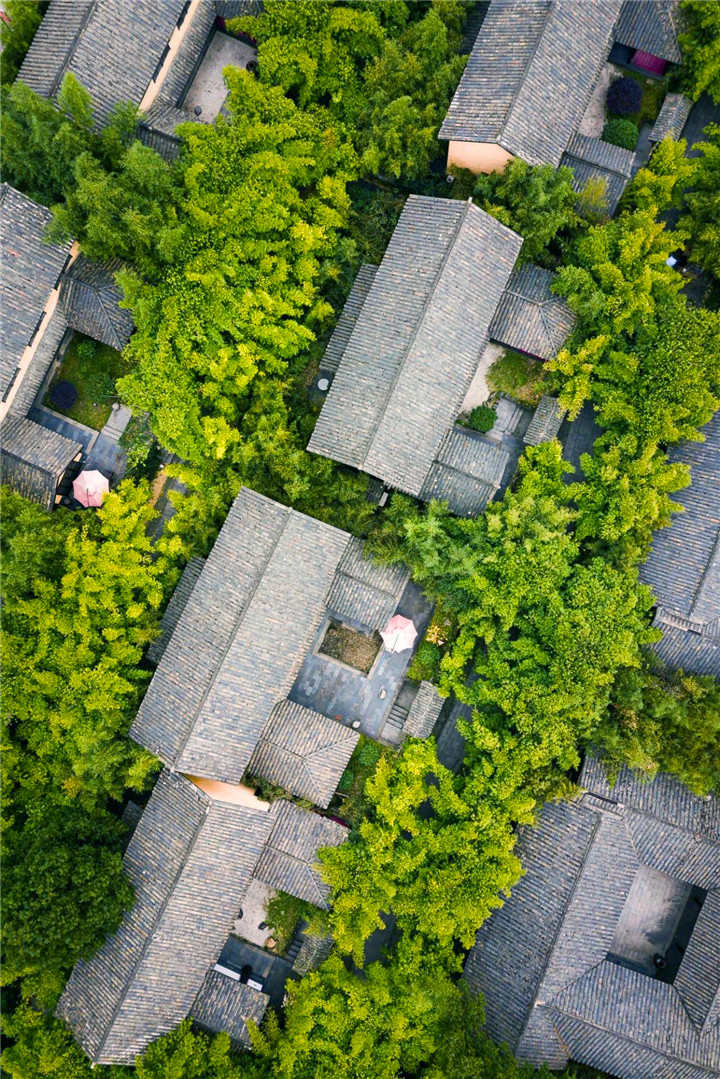 暗室逢灯三.jpg