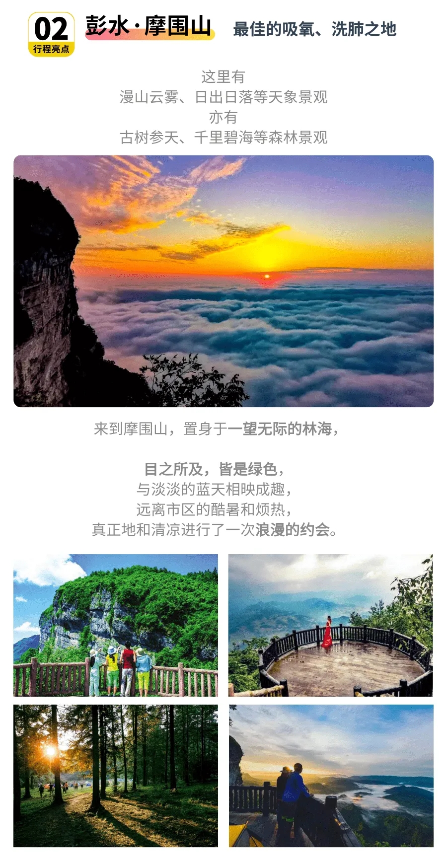4.webp.jpg