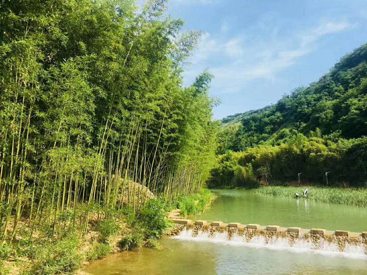 限时抢购1大1小套票鲸鱼沟竹海景区门票樱桃采摘免费吃千亩竹林迷宫