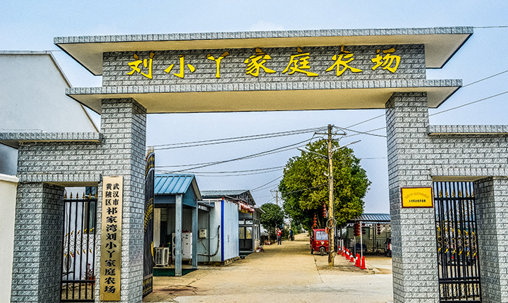 刘小丫家庭农场