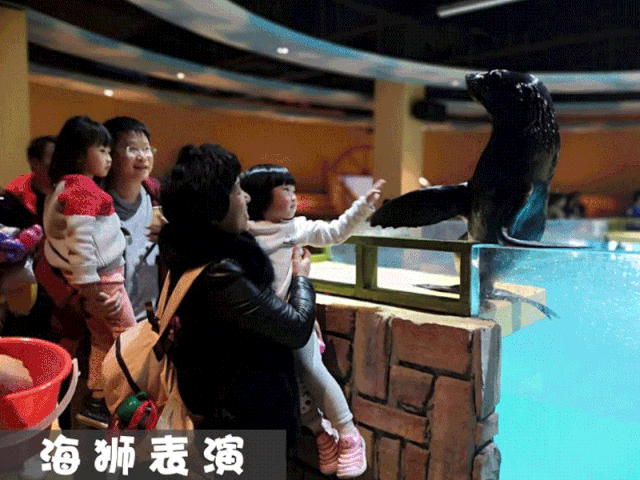 商户活动