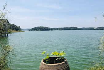 山里