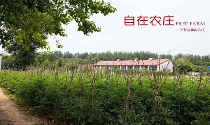 【团建10人起订】团建含领队+自助烧烤无限吃+K歌/台球/麻将近十种娱乐随意玩