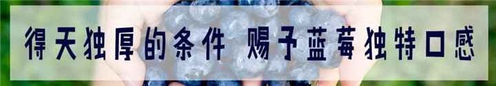 微信图片_20190604085146.jpg