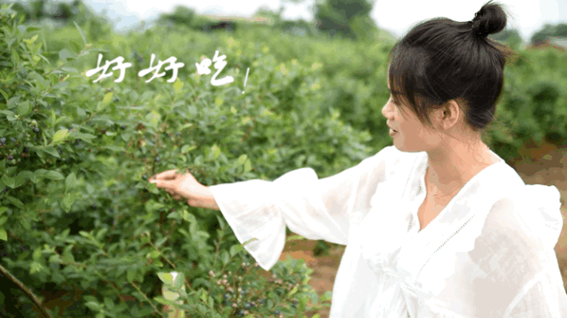 微信图片_20190604084858.gif