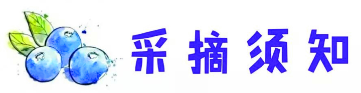 微信图片_20190604104707.jpg