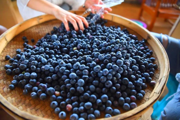 微信图片_20190604110503.jpg