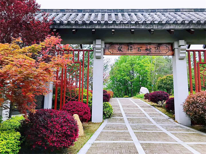 炎帝故里 (2).jpg