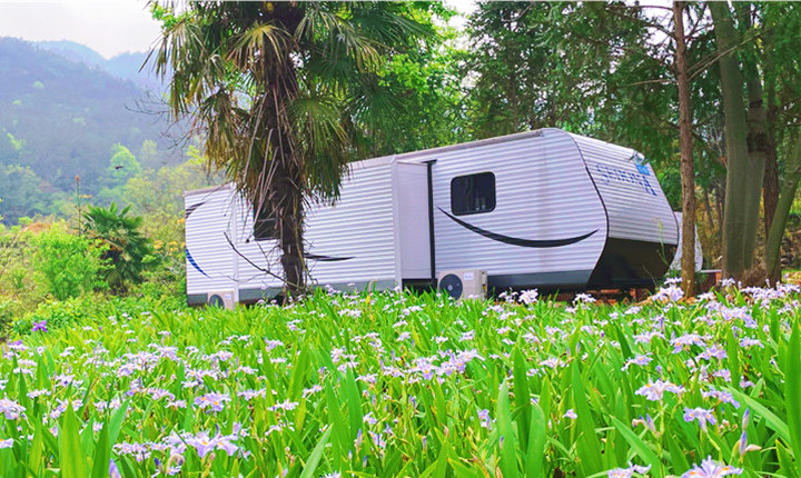 1652412235255517.jpg 720-43011.jpg