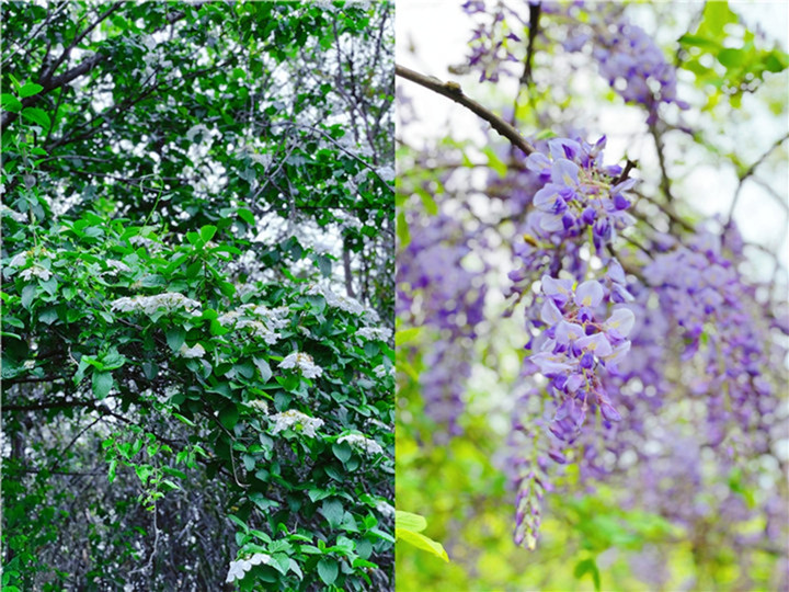 1652412606989004.jpg 微信图片_20220221105643_mh1645695717632_副本.jpg