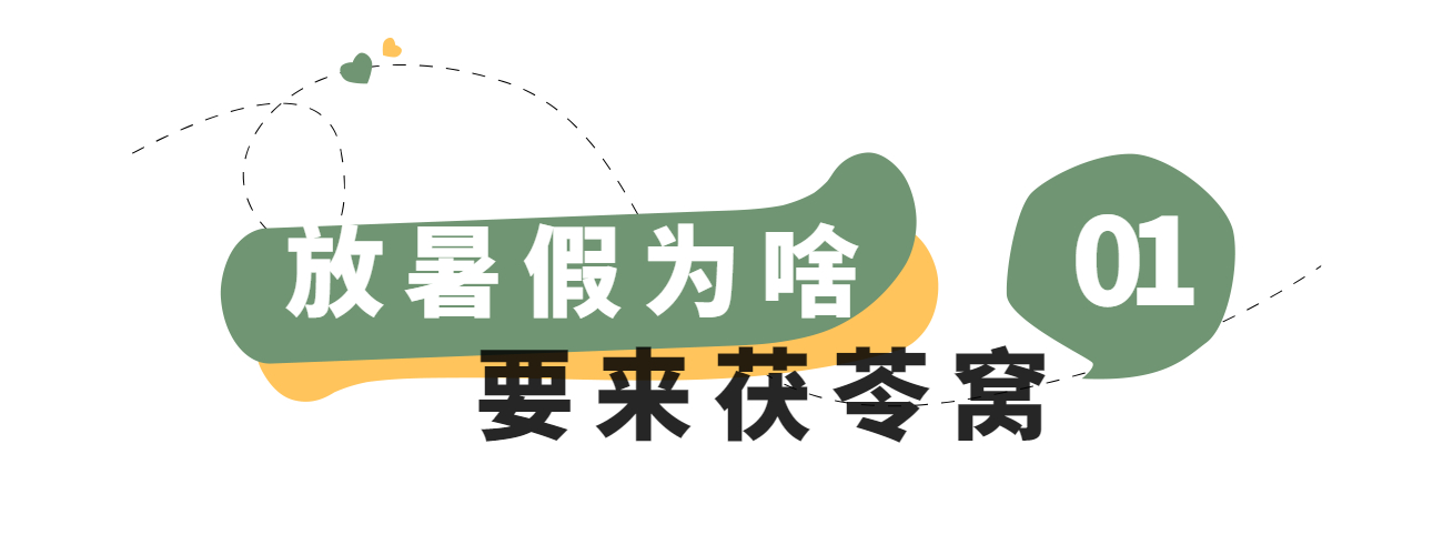 烘焙面包新品上市清新文章小标题.jpg