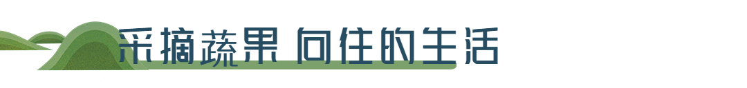 度假酒店拓客引流简约公众号文章标题 (3).png