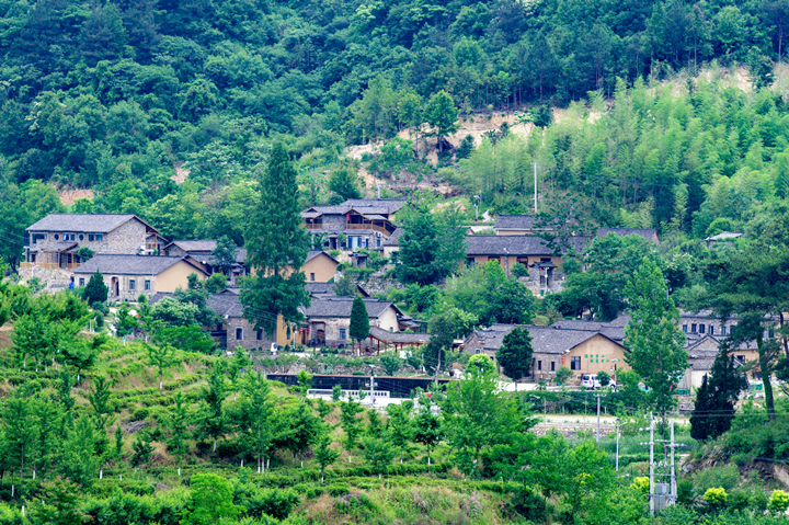 茯苓窝周家湾航拍图 (1).jpg