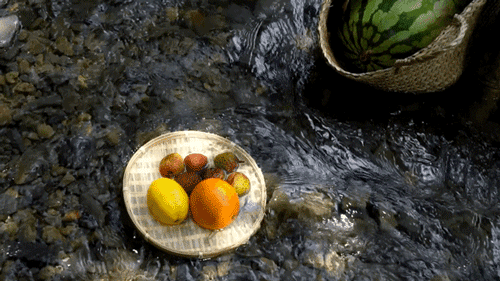 31d58e0d-4808-4f8c-a89d-fcb9e1d40176.gif