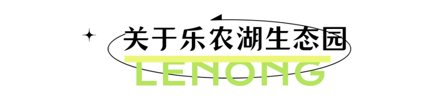 奶茶饮品新品上市清新文章小标题 (1).png