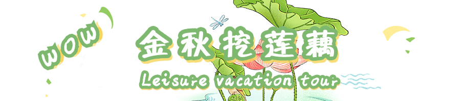 荷花的.jpg