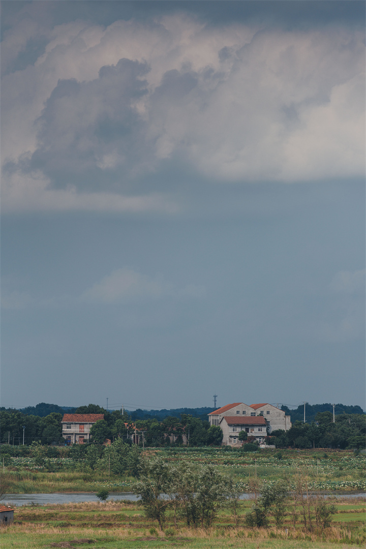 184A5252.jpg