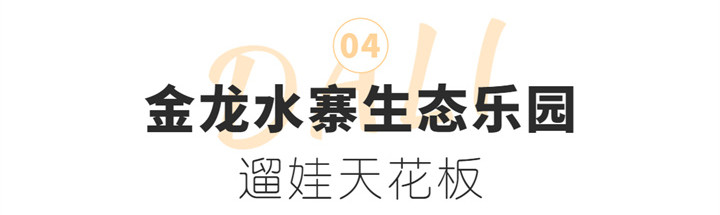 金龙水寨.jpg