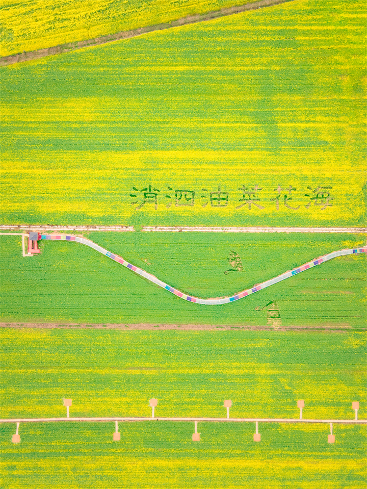 DJI_0497(1).jpg