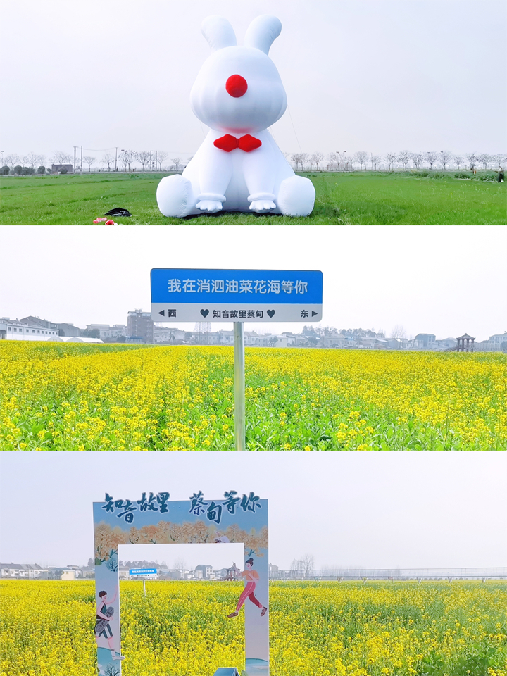 微信图片_20230306084623.jpg