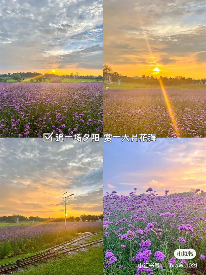 640 (6)_副本.jpg