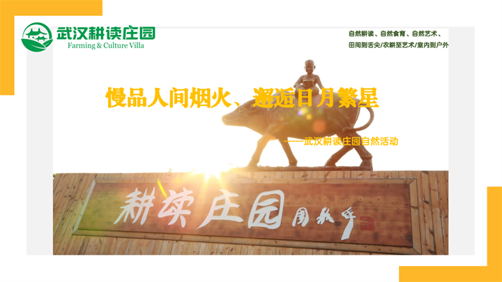 微信图片_20230920163002_副本.png