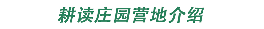 原谅绿的框5.jpg