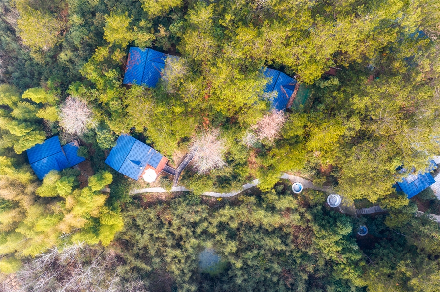 DJI_20231228095240_0009_D_副本.jpg
