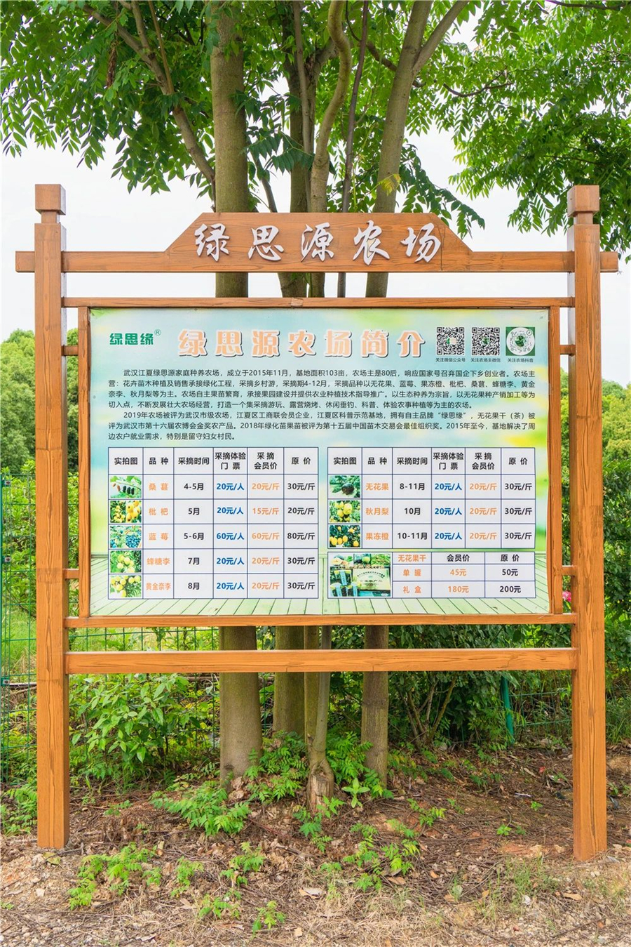 微信图片_20240603112414.jpg