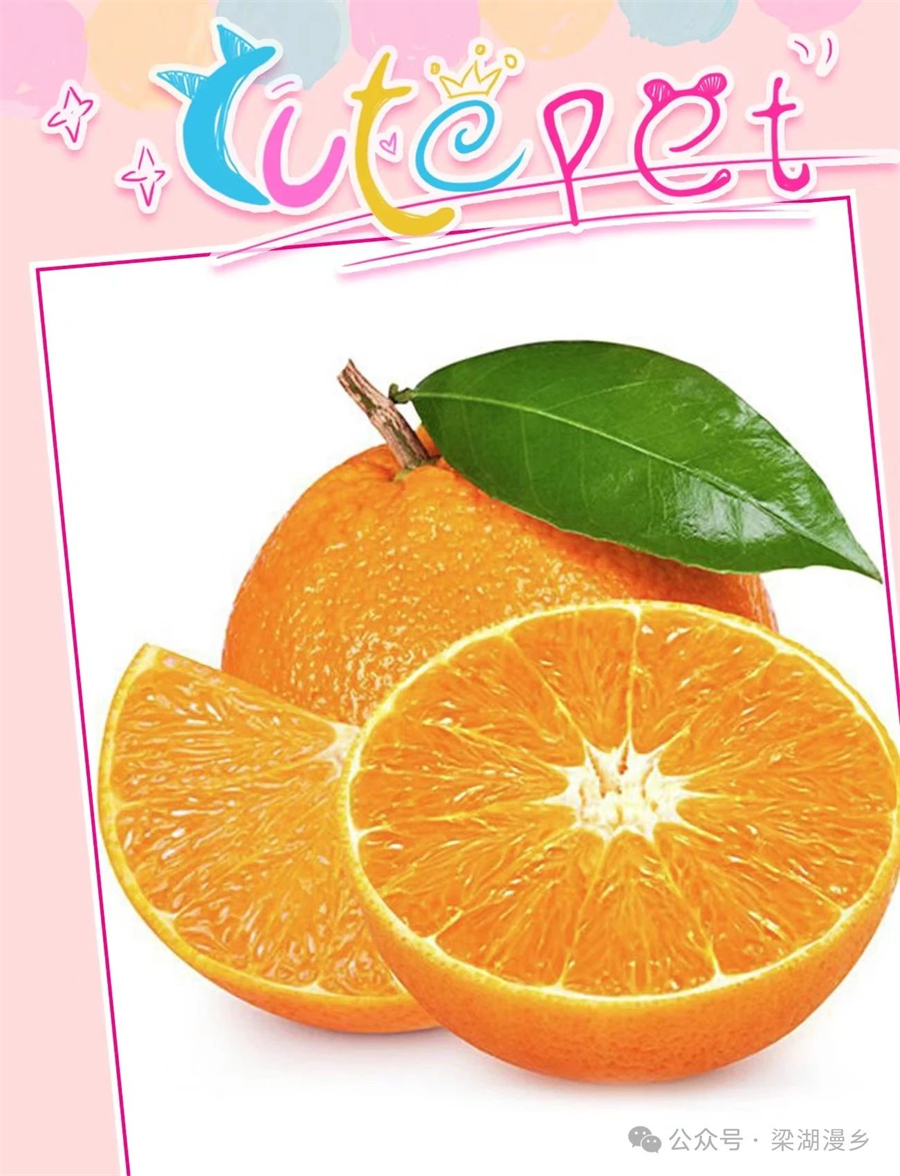 1728610170653402.jpg 微信图片_20241011090921.jpg