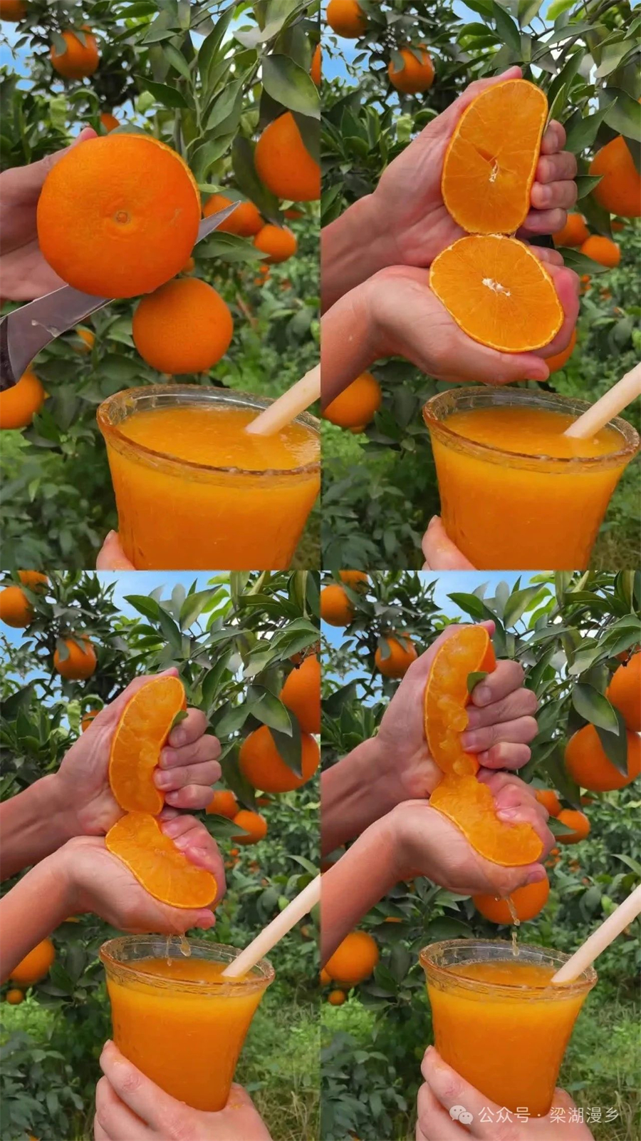 1728610261975812.jpg 微信图片_20241011090944.jpg